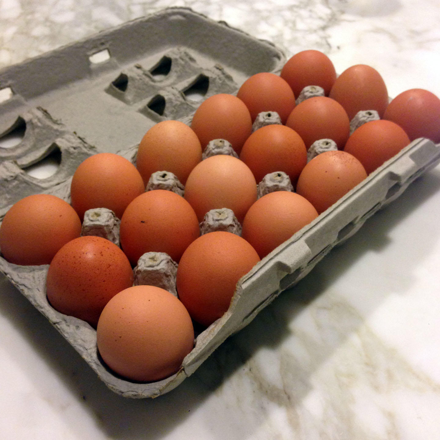 Bulking Protocol Part 1 It's A Long Road