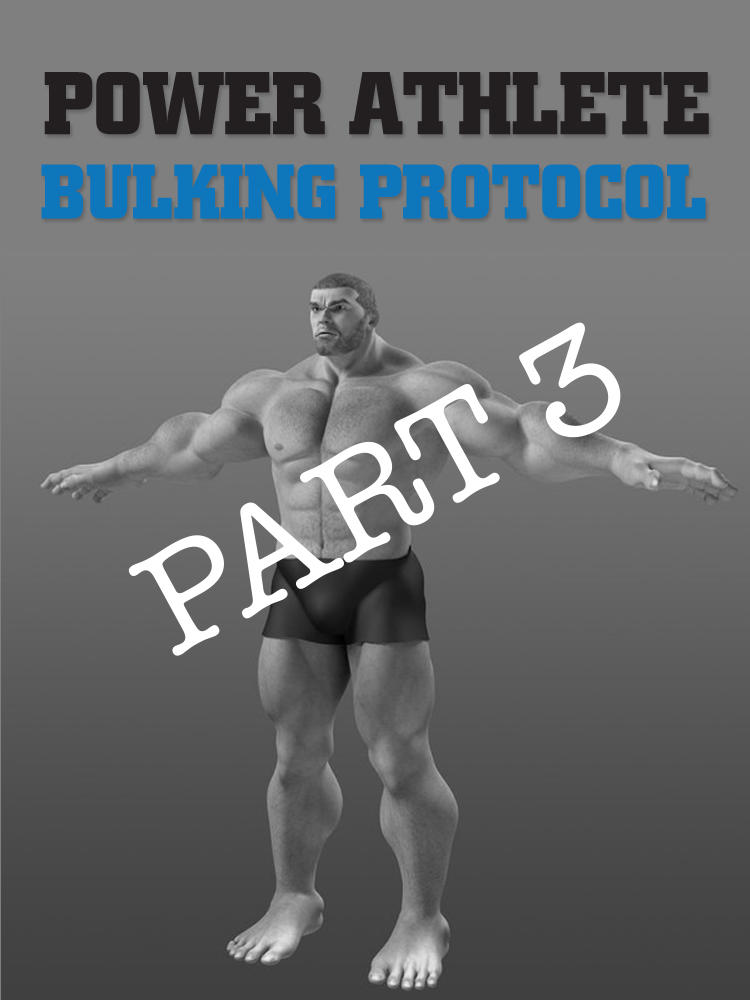 Bulking Protocol – Part 3 – It's A Long Road